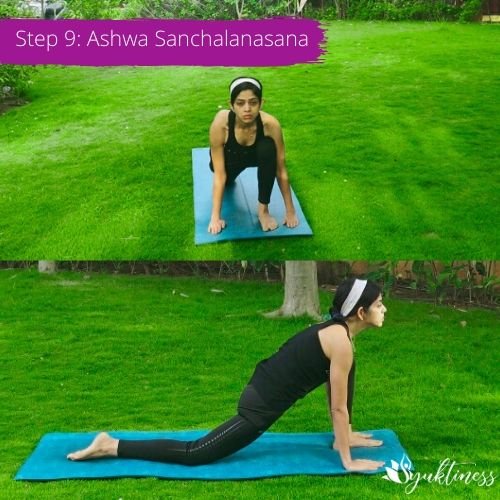 Ashwa Sanchalanasana Equestrian Pose Yoga Stock Vector (Royalty Free)  1739851931 | Shutterstock